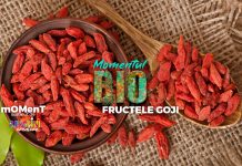 Momentul BIO – FRUCTELE GOJI