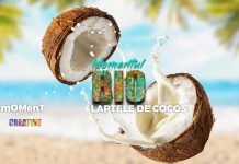 Momentul BIO – LAPTELE DE COCOS