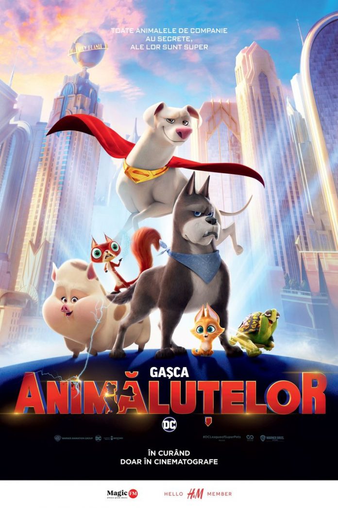 dc-league-of-super-pets-203877l-1600x1200-n-feeea638