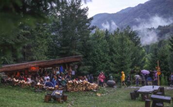 Vadoo Fest 2024, armonia perfecta intre natura si muzica. Festivalul anunta editia din 2025