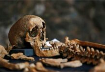 Moartea Neagră Cea mai mare pandemie din istorie își dezvăluie secretele