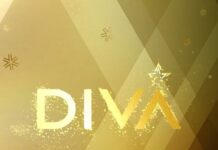 DIVA- RECOMANDĂRI NOIEMBRIE 2026